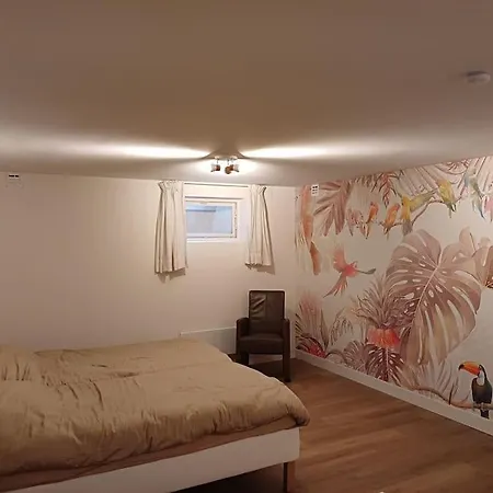 公寓 Natuur Appartement Dinxperlo *