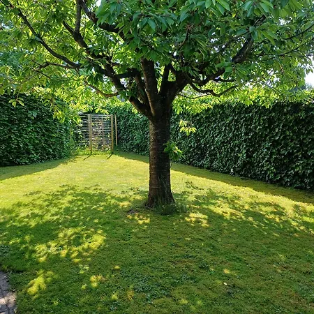 公寓 Natuur Appartement Dinxperlo Dinxperlo