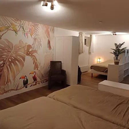 Natuur Appartement Dinxperlo Dinxperlo